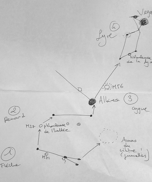 69573516_1341128226045154_15872279791030