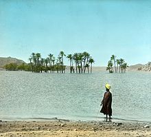 220px-Egypt%2C_Partly_submerged_palms_above_Nile_dam%2C_Upper_Egypt.jpg