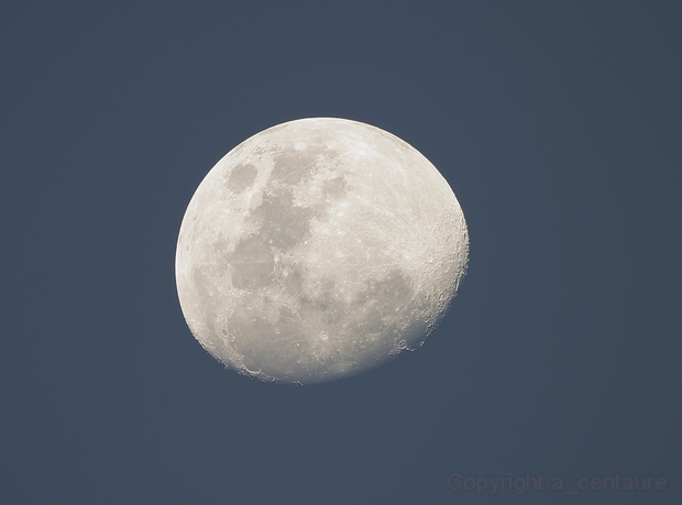d05aa3f3129af30470bd74d713dddb17.620x0_q100_watermark_watermark_opacity-10_watermark_position-6_watermark_size-M_watermark_text-Copyright%20a_centaure.jpg