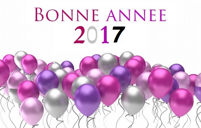 Bonne%2Bann%25C3%25A9e%2B2017.jpg