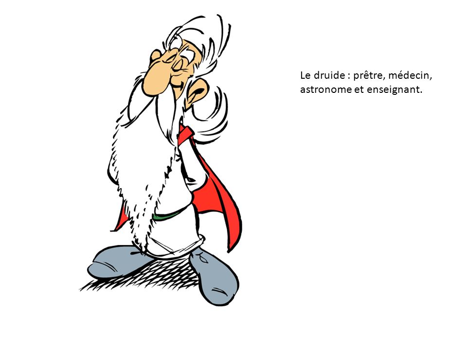 Le+druide+:+pr%C3%AAtre,+m%C3%A9decin,+astronome+et+enseignant..jpg