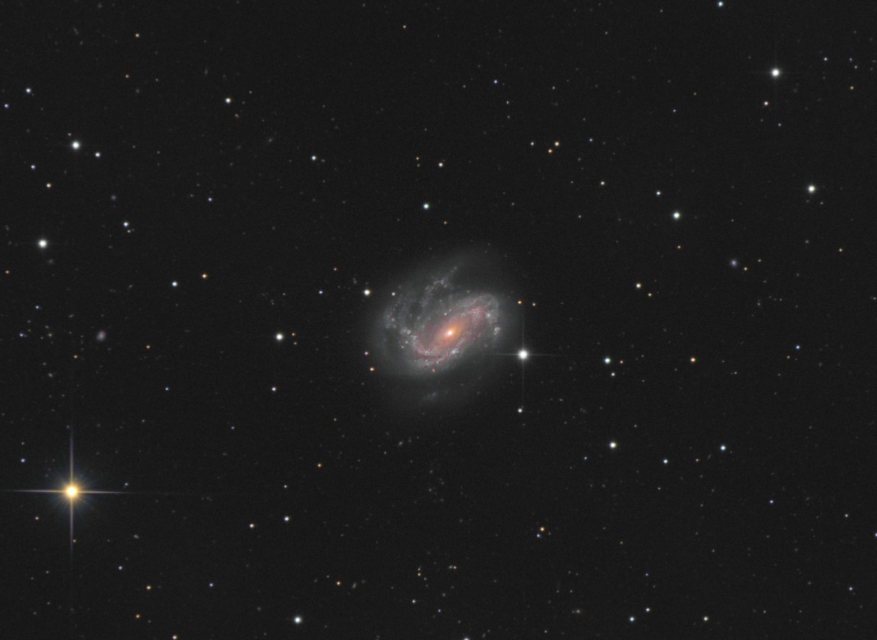 NGC4051%20L15x600s%20R3G5B5-300s%20crop.jpg