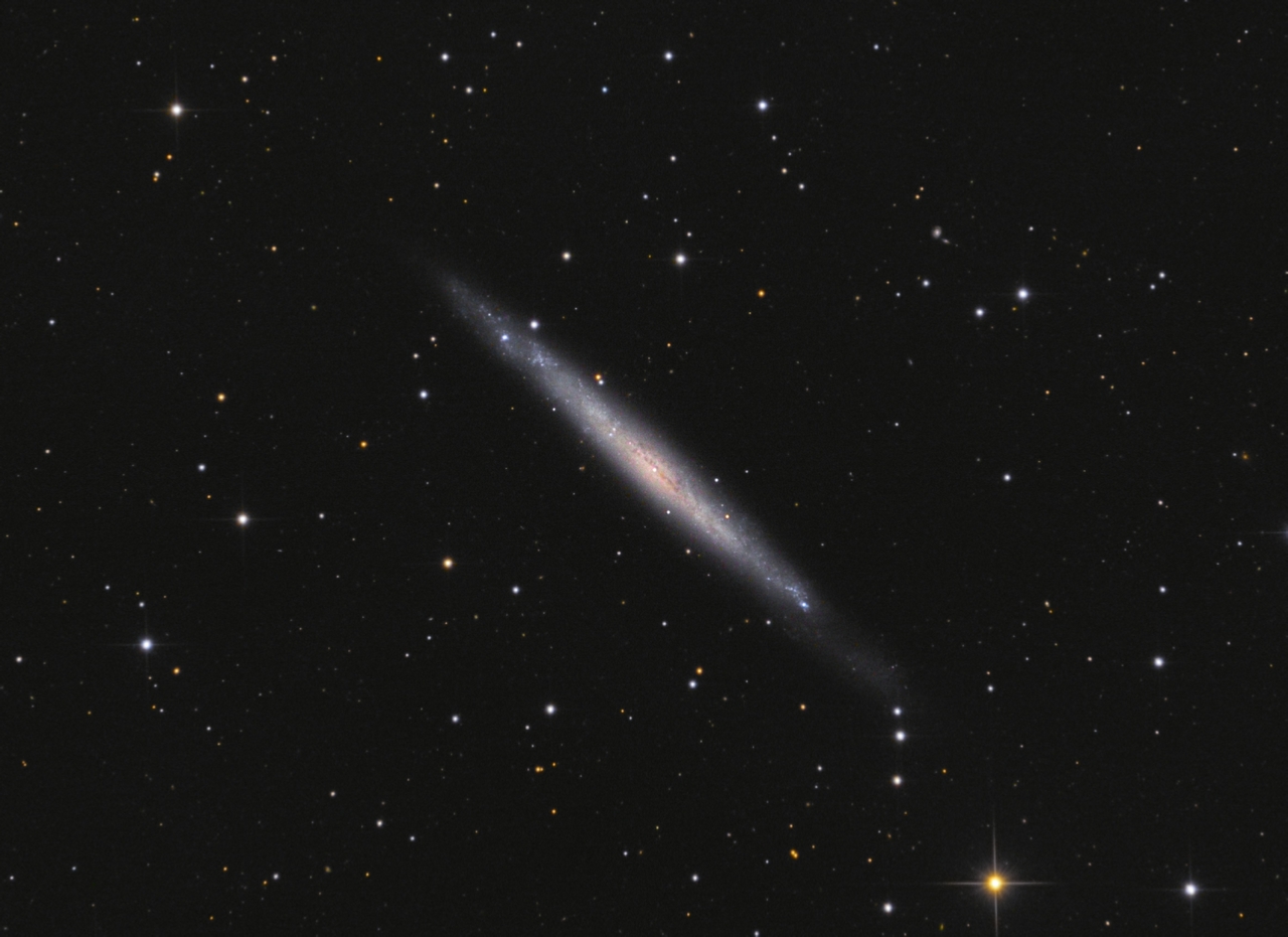 NGC4244%20L50x300%20R3V4B5%20crop.jpg