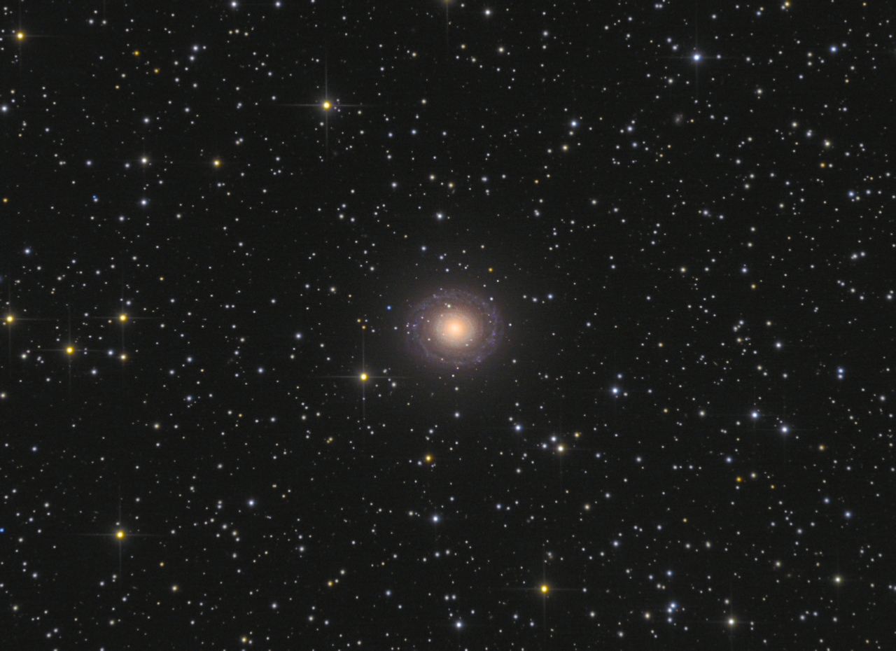 NGC7217%20L68x300s%20R3G4B5%20crop.jpg