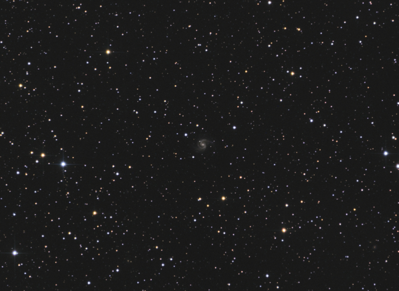 IC1269%20L12x300R3G3B5%20crop.jpg
