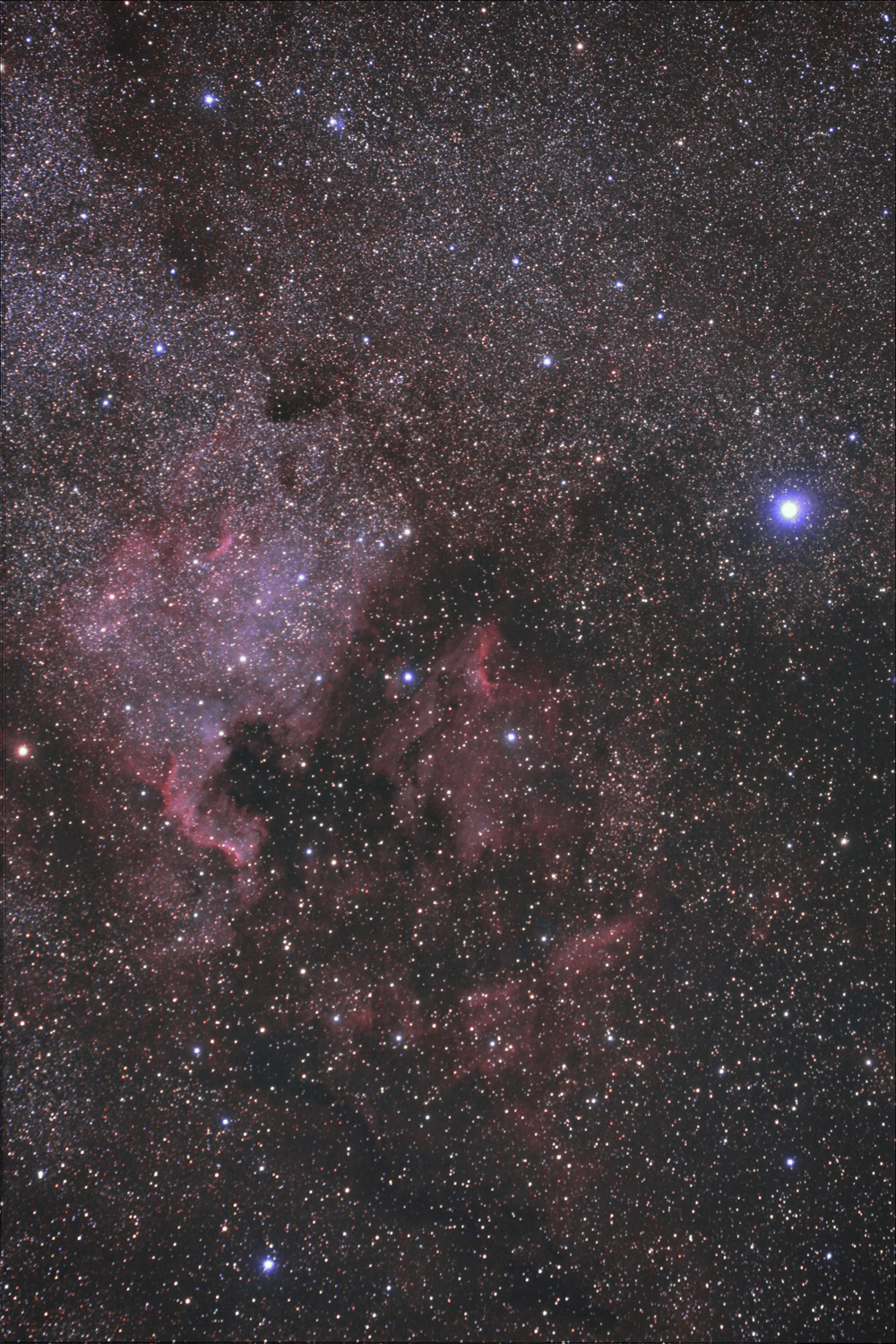 NGC7000+Pelican.jpg
