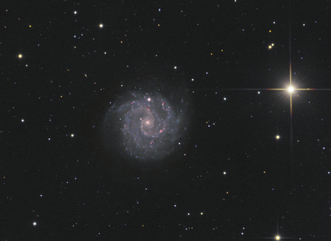 NGC3184%20L42x300s%20R3G4B5%20crop.jpg