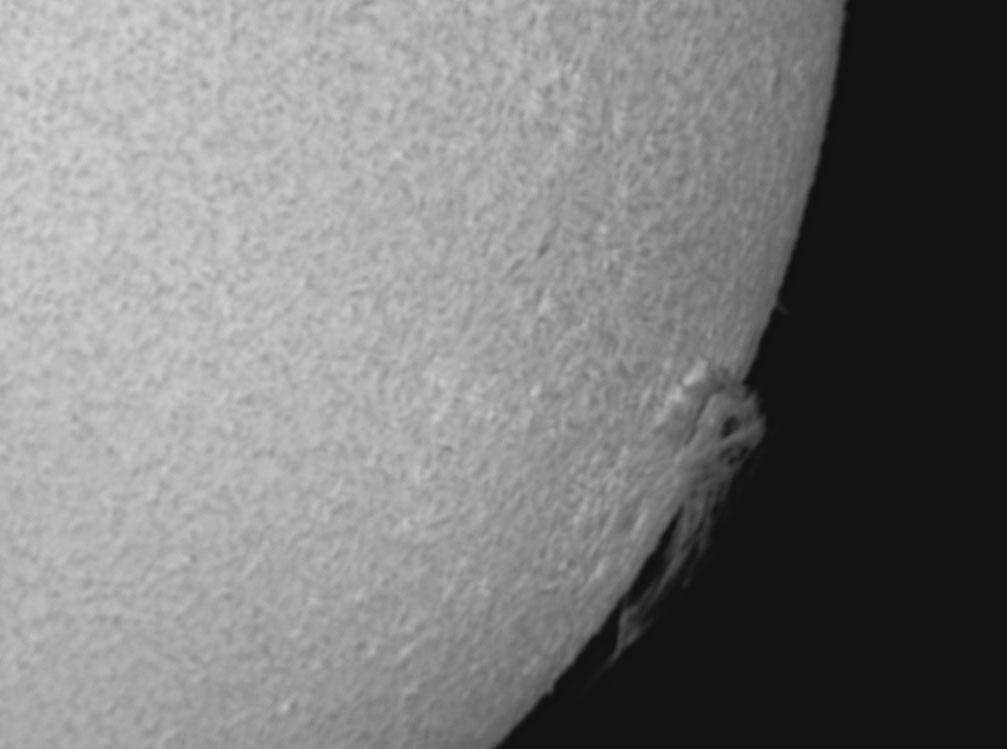 sun-13-03-20100004%2010-03-13%2013-45-04.jpg