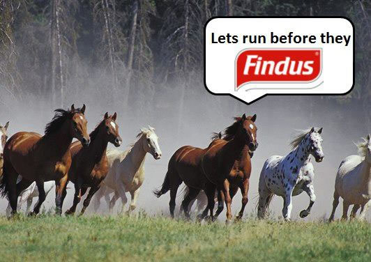 d%C3%A9tournement-parodie-findus-cheval-7.jpg