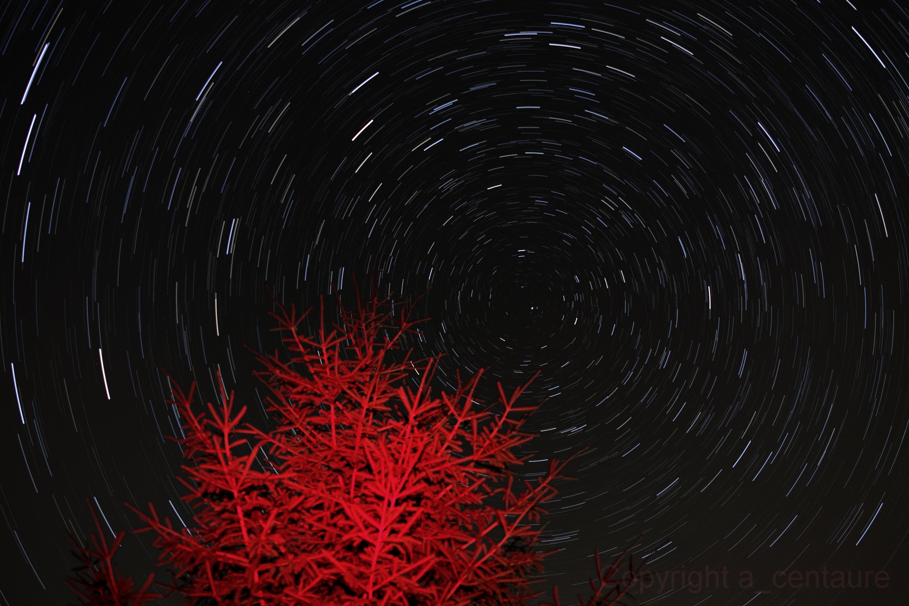 1ce2964978962ab9aae9091034e29775.1824x0_q100_watermark_watermark_opacity-10_watermark_position-6_watermark_size-M_watermark_text-Copyright%20a_centaure.jpg