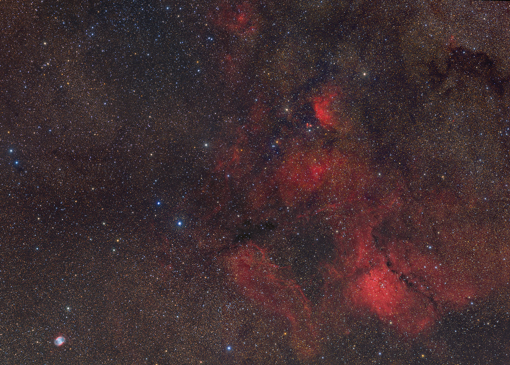 VULPECULA%20%20V2-XL.jpg