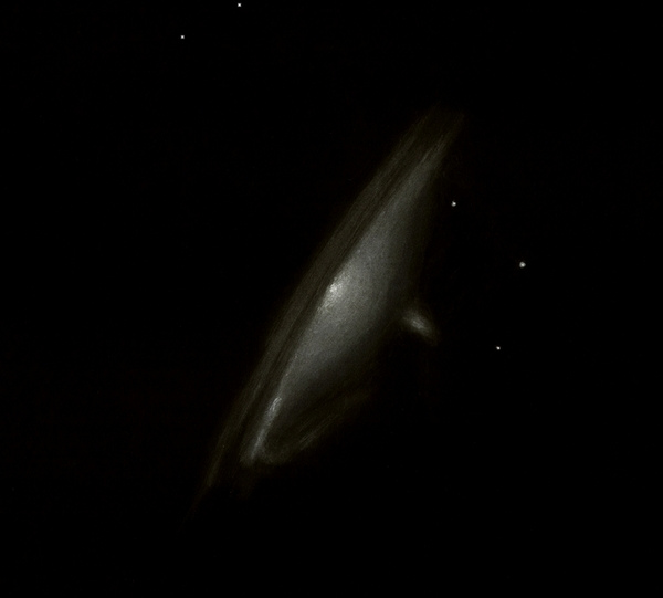 5b8844074707c_NGC1532Eridan.jpg.456a74239d8881f15804de2653068d4b.jpg