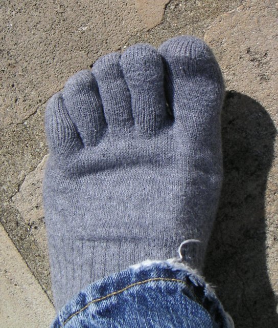 5toesSocks.02.h640.jpg