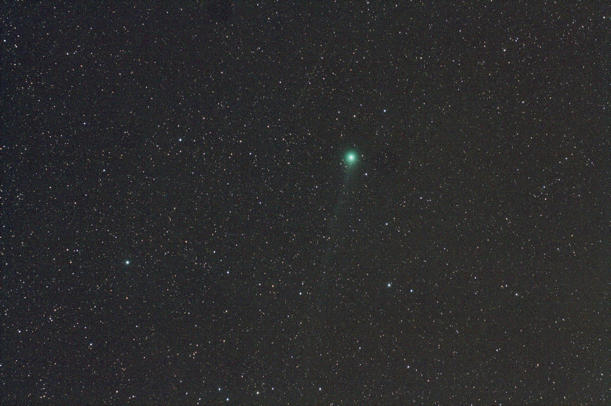 607358Lovejoy110120151.jpg