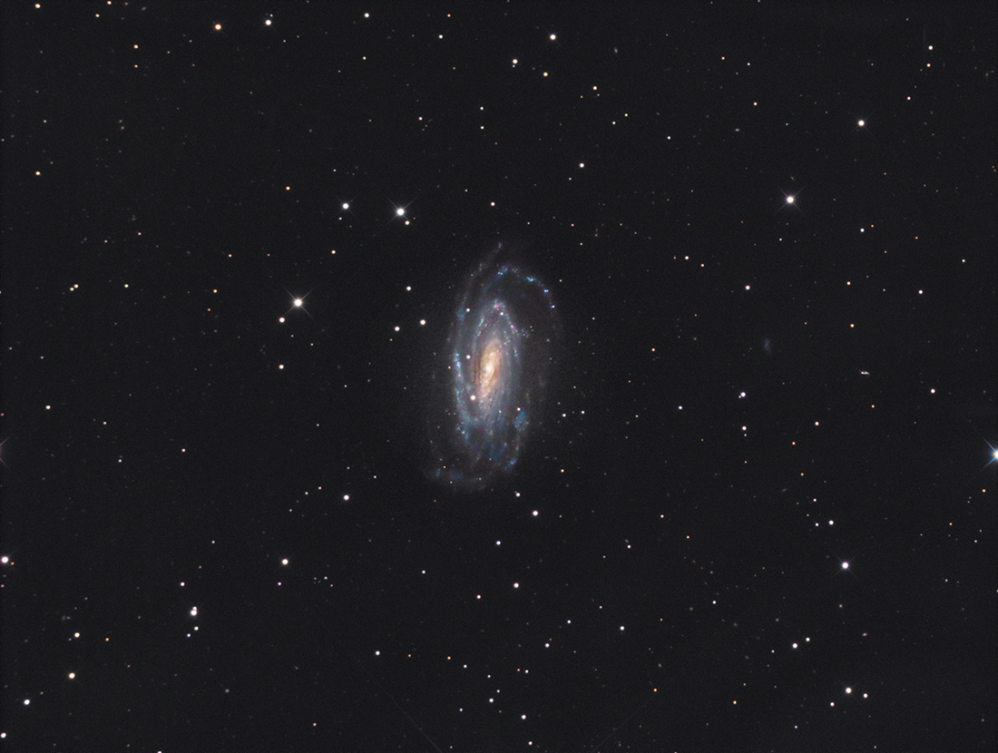 626419NGC50331100.jpg