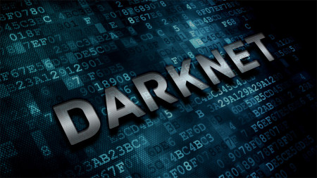 darknet-image-735.jpg?w=450&h=254