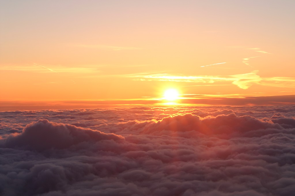 IMG_6915 [1024x768].JPG