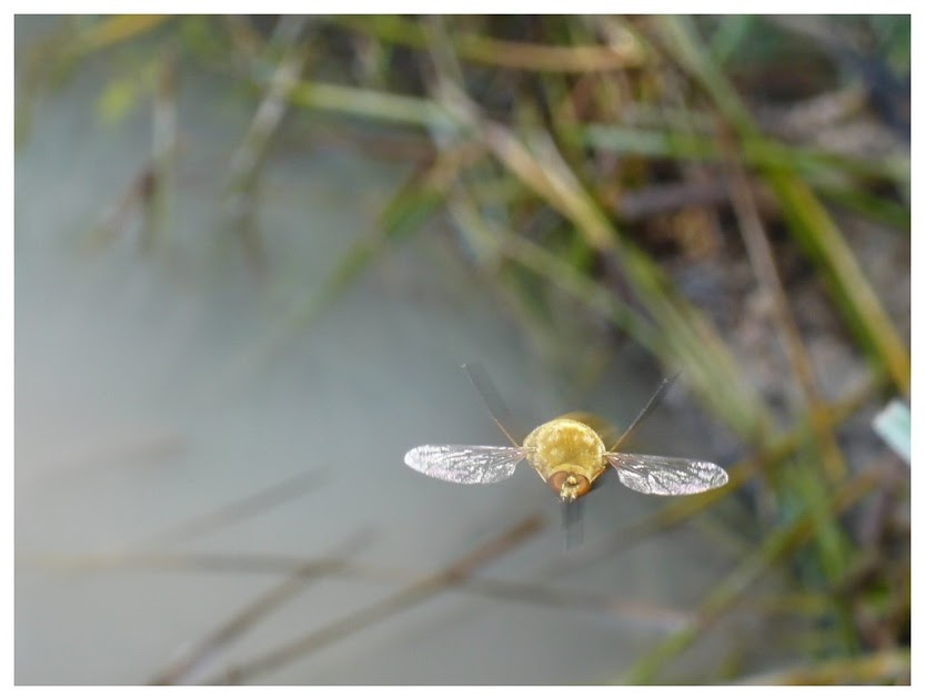 r_ArzBBRt7yP2jPzg2VH-EyBnwsz7piUs1j2-mE5