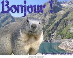 images?q=tbn:ANd9GcTP1gMeFYkj181kULJ8i8JF1GGibHgkZwqXluvYe3B6XbTcVCm0QQ