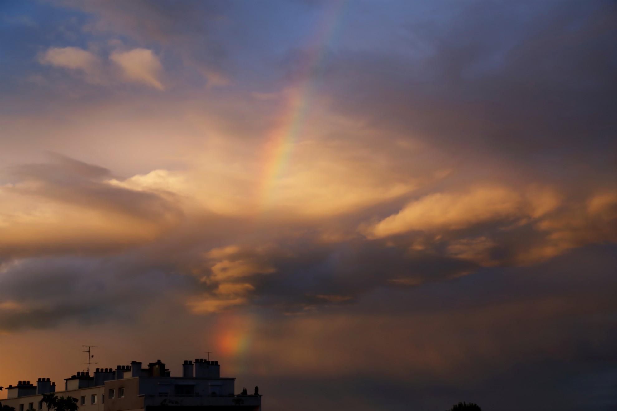 1050261.jpg?20150608