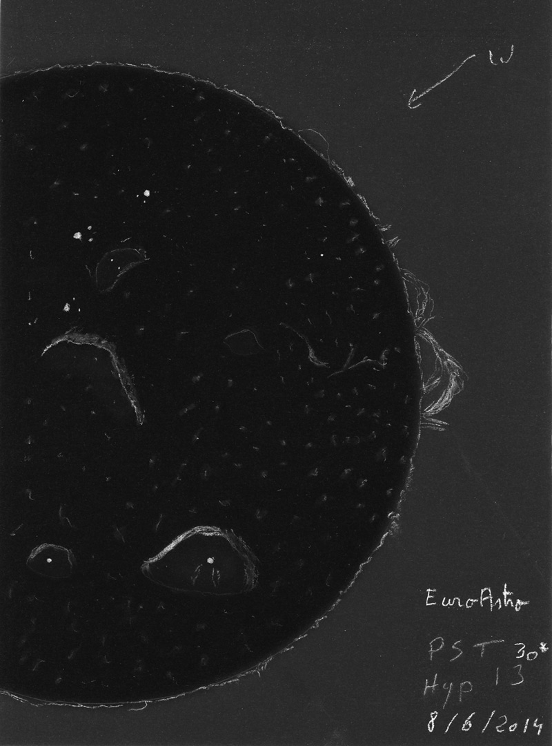 soleil_euroastro.jpg?psid=1