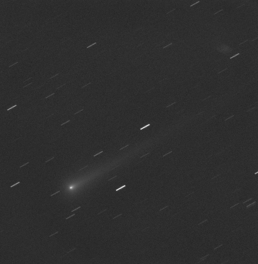 7168303ison.jpg