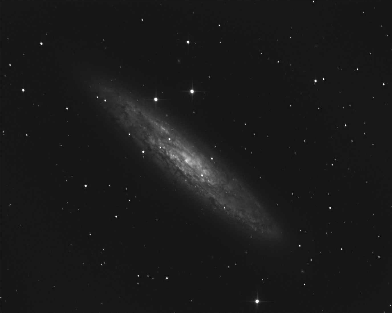 71_1511900849NGC253-20min.jpg
