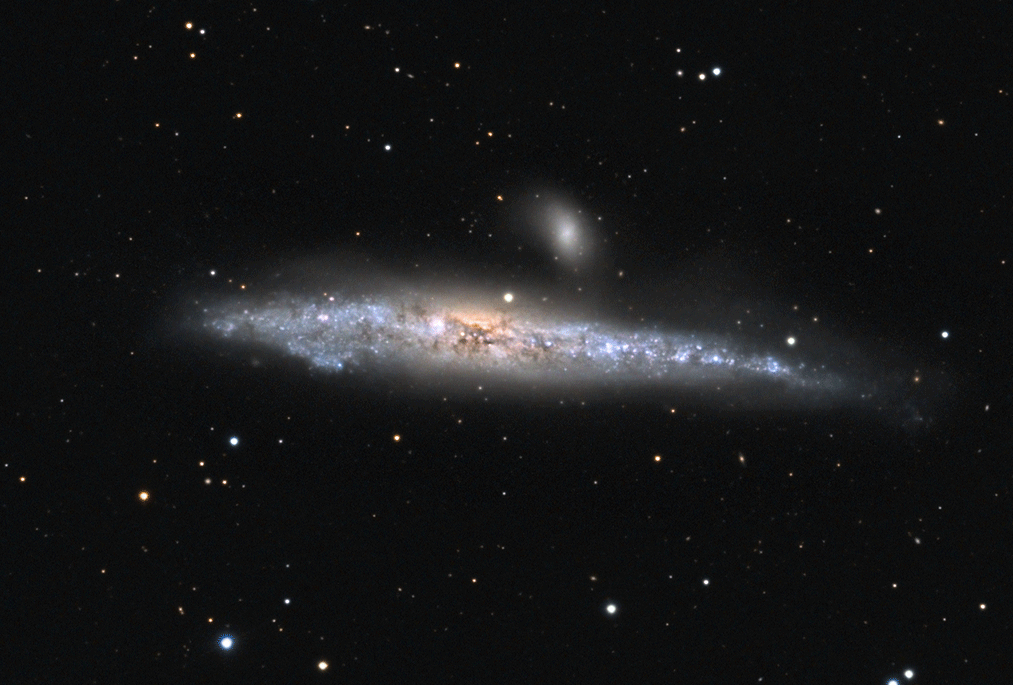 71_1525093478NGC4631-evo.gif