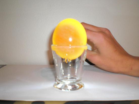 experience-6-jaune-d-oeuf-en-evidence-4.jpg?fx=r_550_550