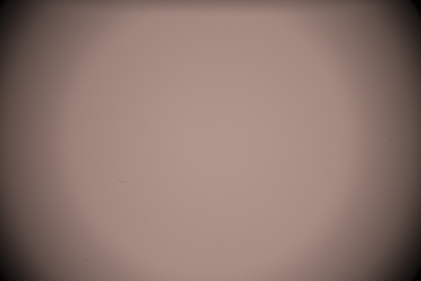 Flat_RED_Celestron.jpg?dl=1