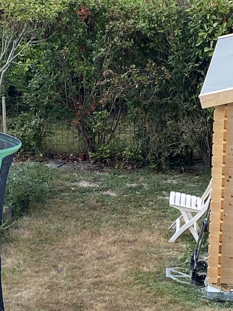 K6ACF6XKdrexvGeVm09x7C52D0JSYTWg-CR4mxWdx-_9TV7rFb4AvZDbRi4TDN4ZUZxAIGV33CQgS7-cXXmHGiYlWxaOYScegaM0gsaN7f3Kl8qCs6poLFI08OYTQC5wEKtMhujj