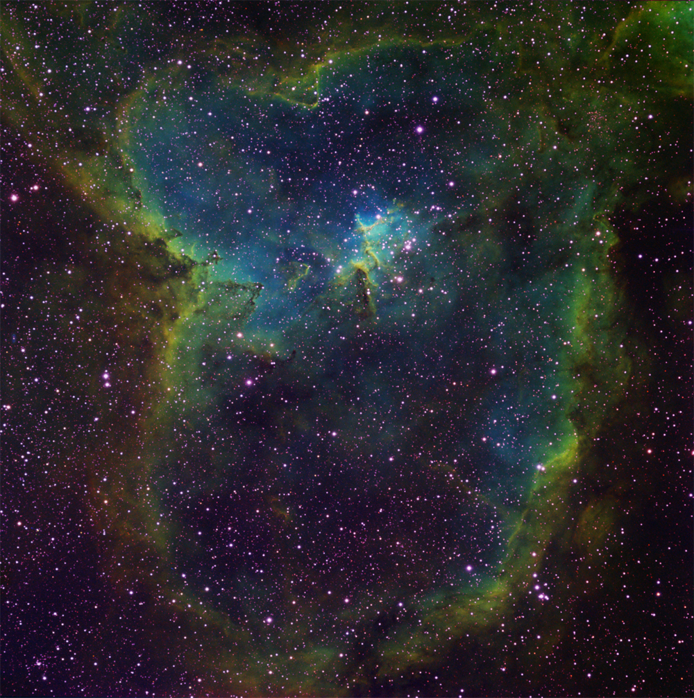 IC1805%20petiteC.jpg?dl=1