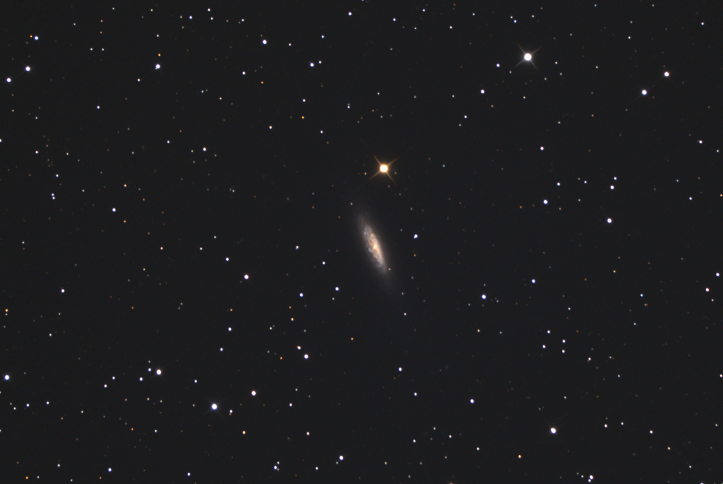 797530NGC6503.png