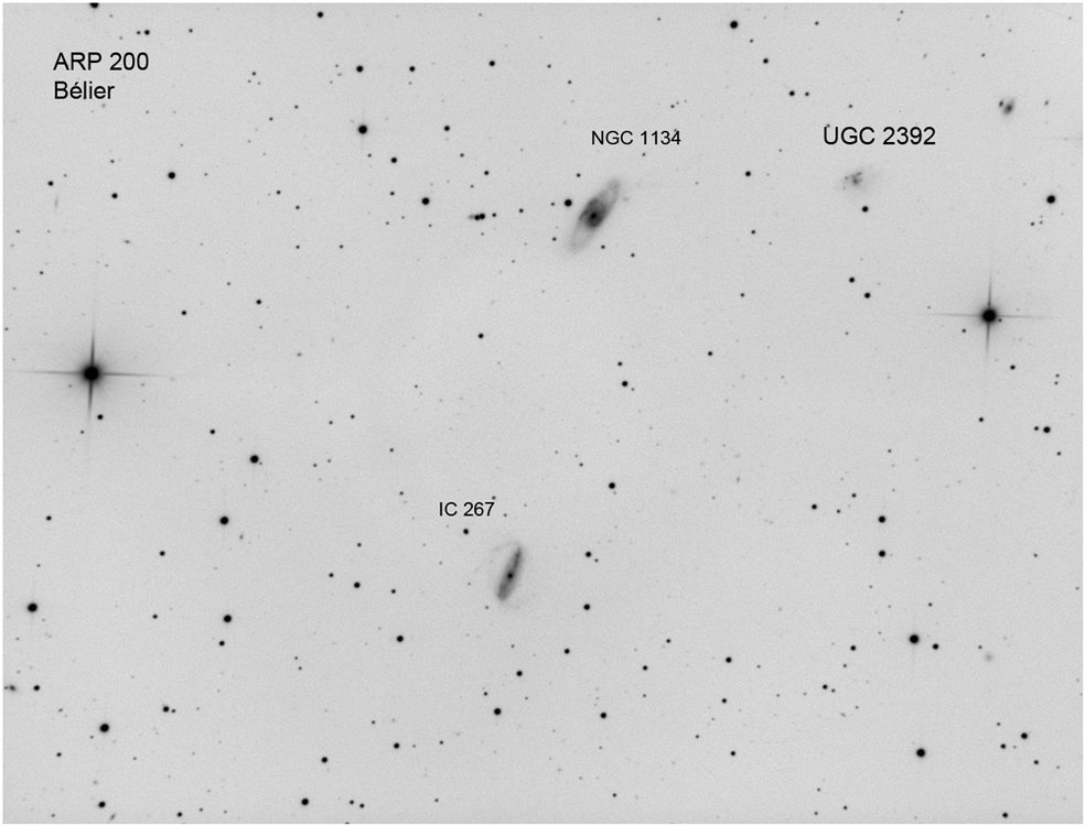 arp200_neg_web.jpg?psid=1