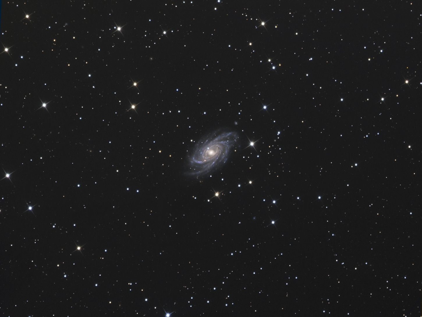 833226NGC2336web1450pix.jpg