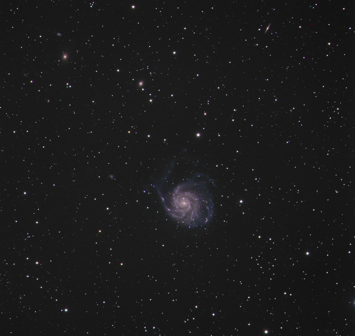 M101petite.jpg?dl=1