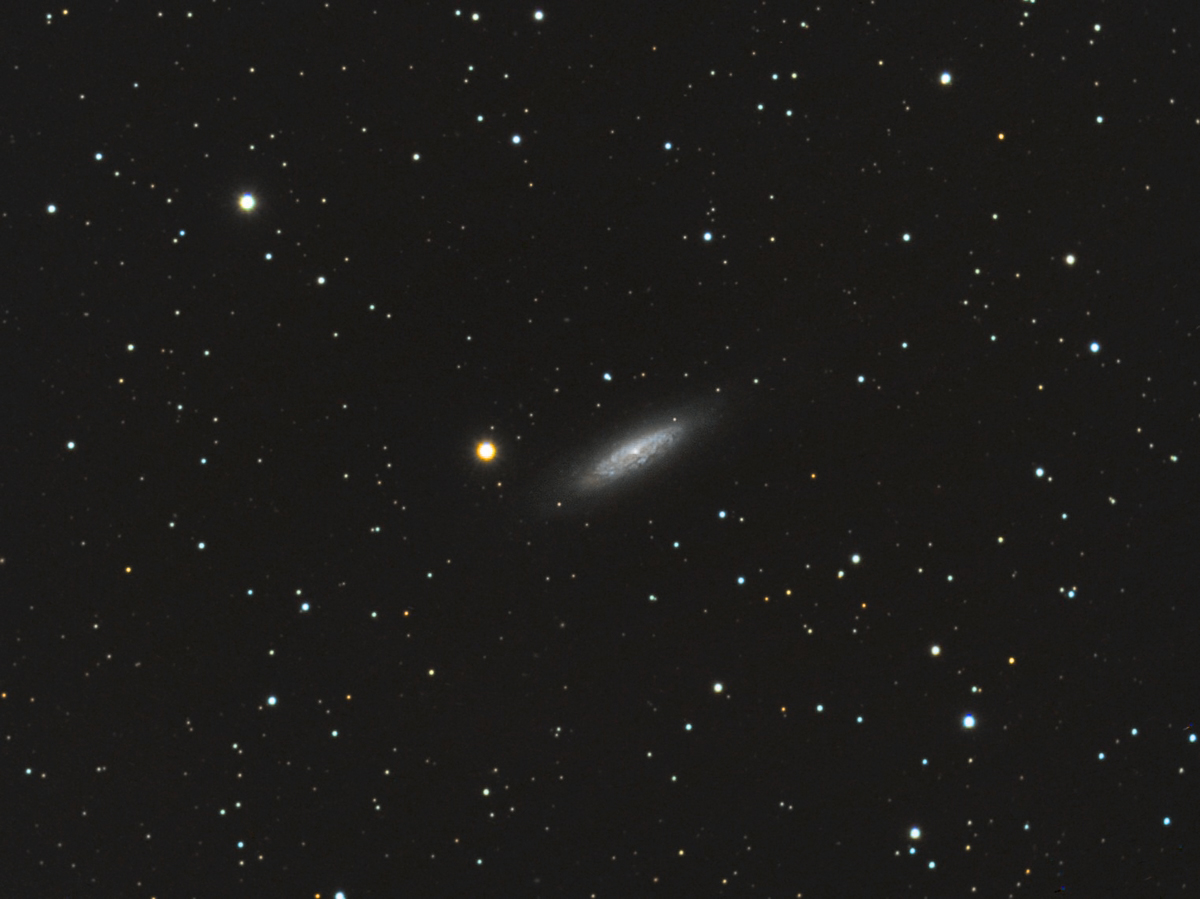 895817NGC65032emeforum.jpg