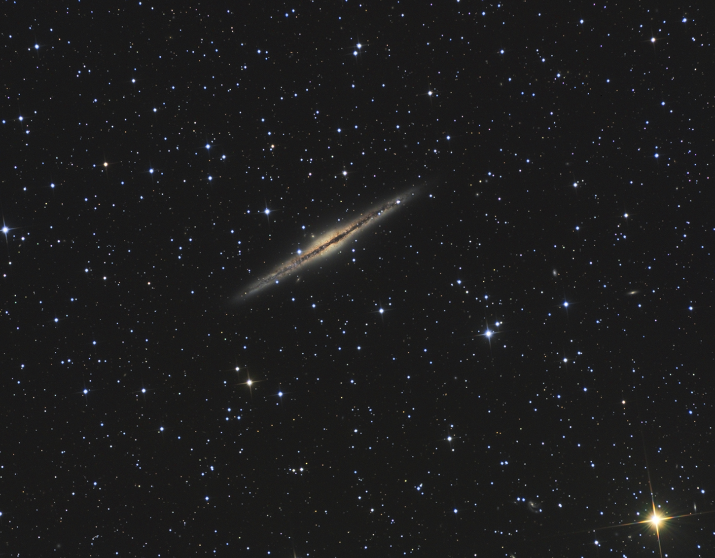 908120NGC891web1450pix.jpg