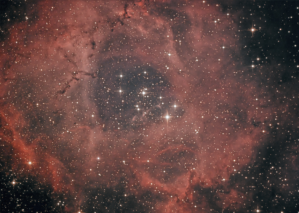 Rosette_reduite.jpg?dl=1