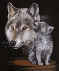 images?q=tbn:ANd9GcQsTLVrlg10lyLe9U4tTRlhPSSt6Lx7bD2A47E9QvNXH_lOZDxO