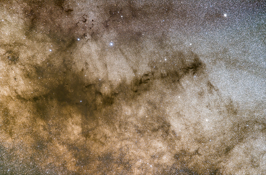 6c1add60c53fa4713f8ada6450681e44