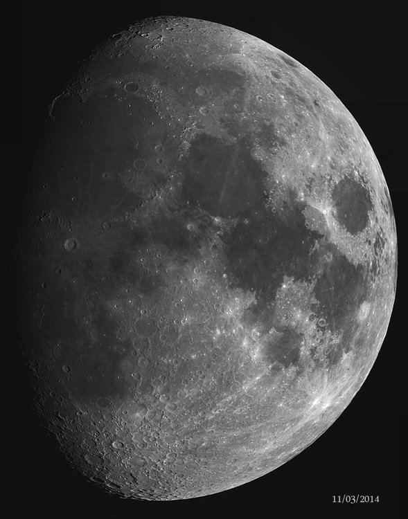 mosa_iris.jpg?psid=1