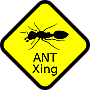 AntCrossingLogo.png