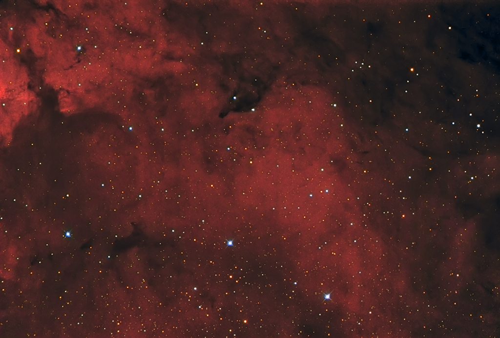 Barnard_355_HAR38_RH33AVB_sept2015_RC_STL_1024.jpg
