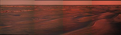 BeagleAndVictoria-Sol870-browse.jpg