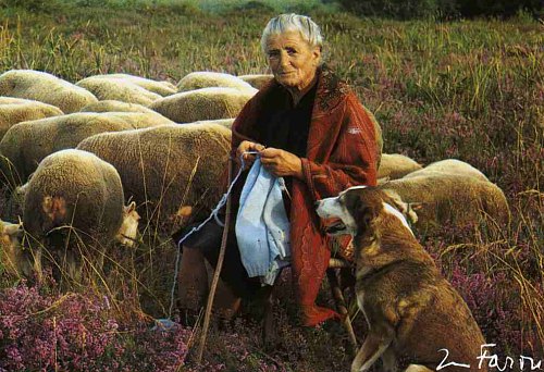 Bergere-Troupeau.jpg