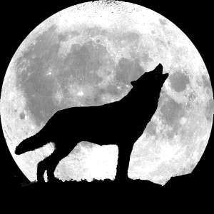 Blackwolf-logo.jpg