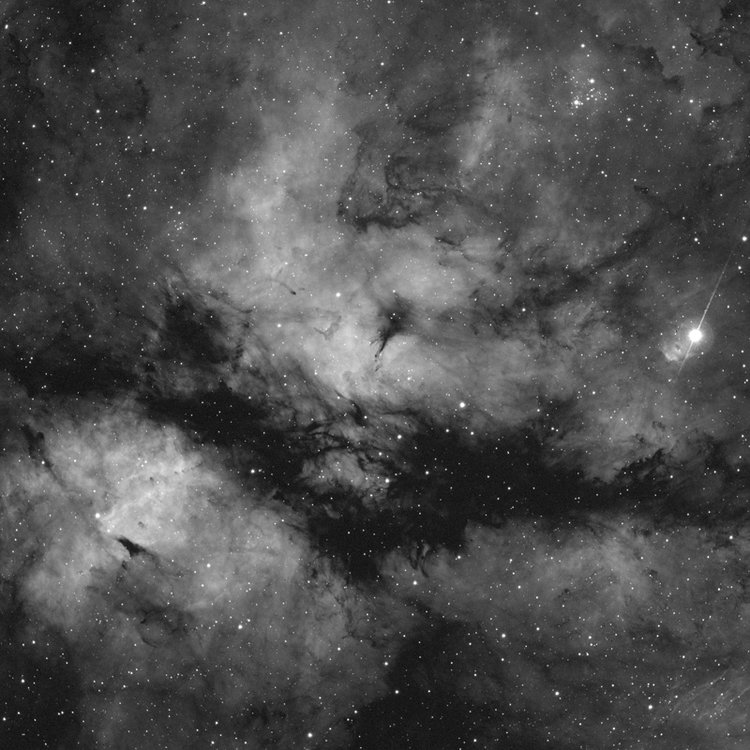 CCD-IC1318e.jpg