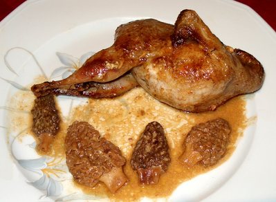 Caille_aux_morilles_t.jpg