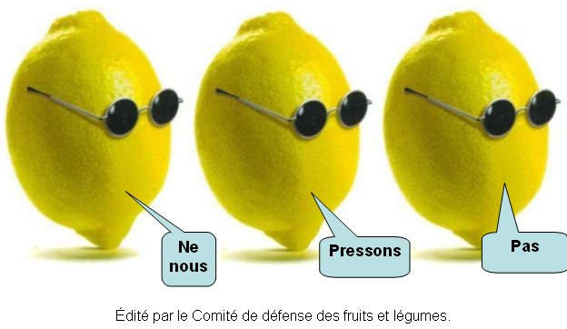 Citrons3.jpg